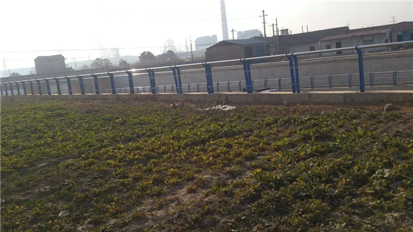 哈尔滨不锈钢河道护栏